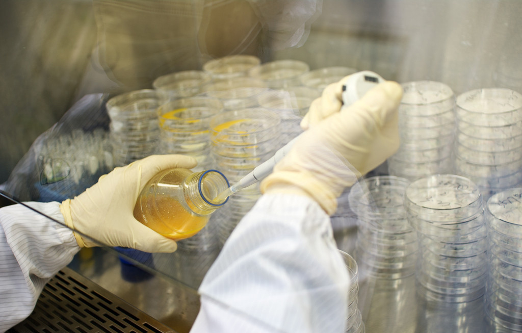 南宫·NG28(China)官方网站-登录入口