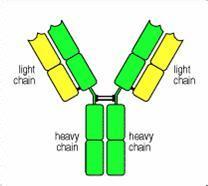 南宫·NG28(China)官方网站-登录入口