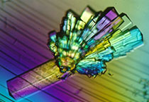 南宫28副总裁金晓玮博士等一行出席了在上海举行的中国科学手艺大学校友会沙龙