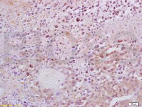 南宫·NG28(China)官方网站-登录入口