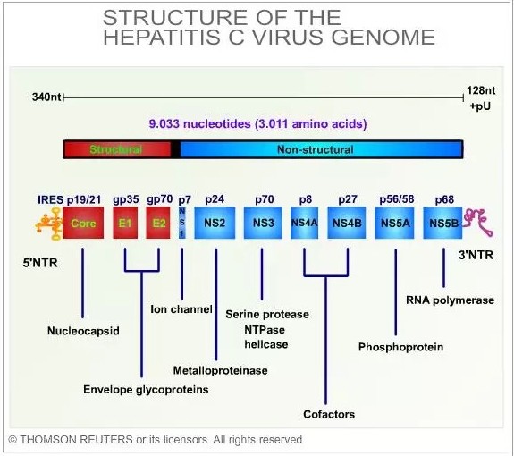 南宫·NG28(China)官方网站-登录入口
