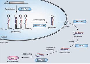 南宫·NG28(China)官方网站-登录入口