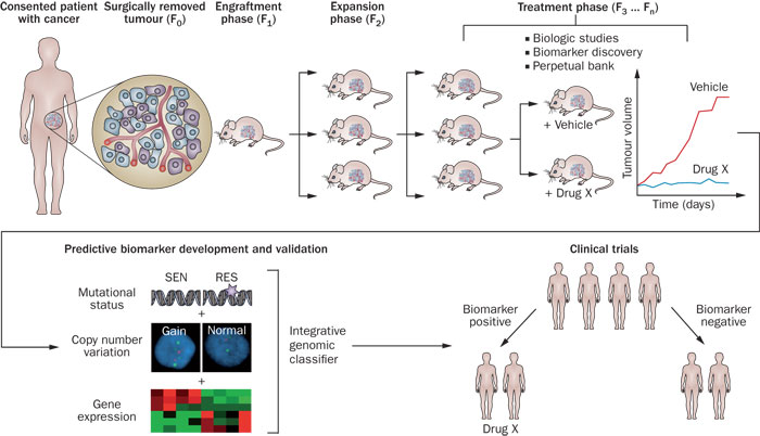南宫·NG28(China)官方网站-登录入口