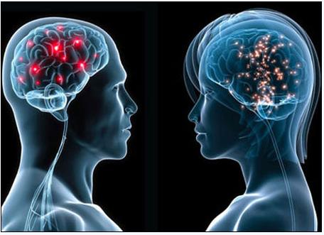 5月2号，医药经济报上揭晓了关于陈春麟博士的报道——CRO的中国式崛起路径