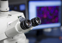 南宫·NG28(China)官方网站-登录入口