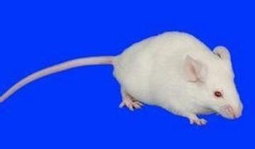 南宫·NG28(China)官方网站-登录入口