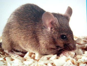 南宫·NG28(China)官方网站-登录入口