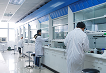 11月1日，南宫28生物部和化学部开展年底促销活动