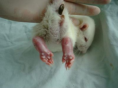 南宫·NG28(China)官方网站-登录入口