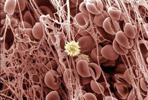 南宫·NG28(China)官方网站-登录入口