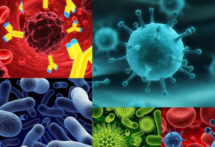 原位杂交手艺的基本流程有哪些？