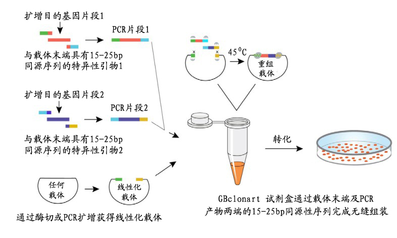 南宫·NG28(China)官方网站-登录入口