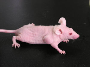 南宫·NG28(China)官方网站-登录入口