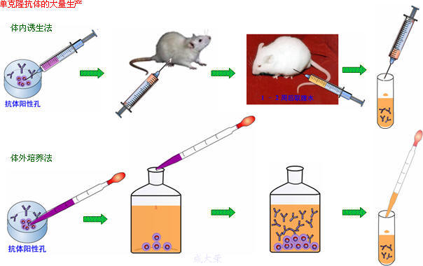 南宫·NG28(China)官方网站-登录入口