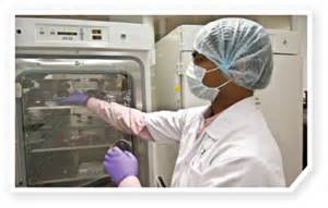 印度制药业者品评TPP称其对开发新仿制药倒运