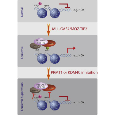 南宫·NG28(China)官方网站-登录入口