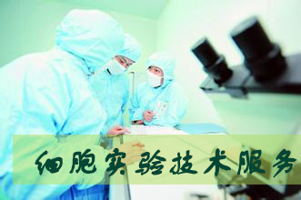 南宫28细胞实验效劳外包