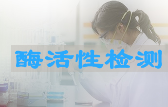 南宫28酶活性测定效劳