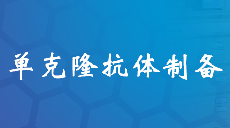 单克隆抗体制备手艺