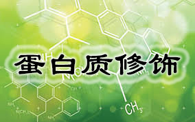 南宫·NG28(China)官方网站-登录入口