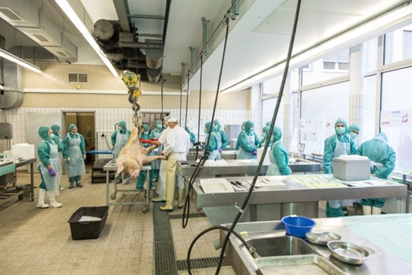 全球医药市场超万亿美元，Top10累计份额凌驾三成