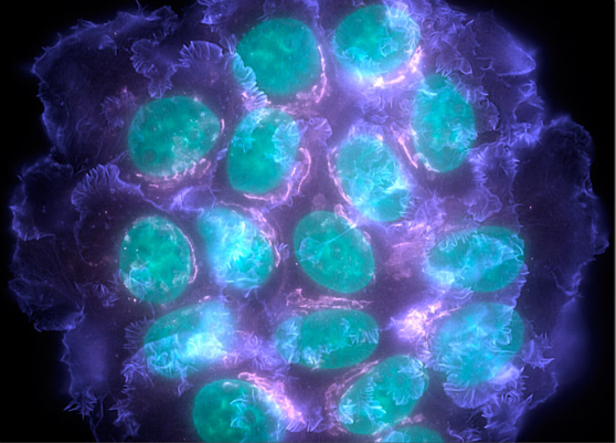 南宫·NG28(China)官方网站-登录入口