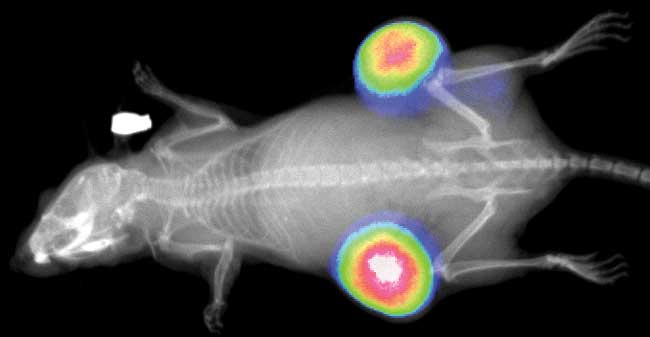 南宫·NG28(China)官方网站-登录入口