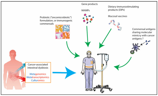 南宫·NG28(China)官方网站-登录入口