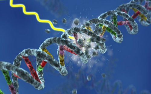 南宫·NG28(China)官方网站-登录入口