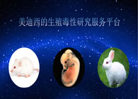 南宫28的生殖毒性研究效劳平台