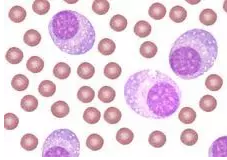 南宫·NG28(China)官方网站-登录入口