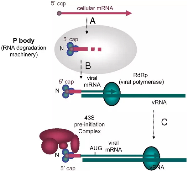 南宫·NG28(China)官方网站-登录入口