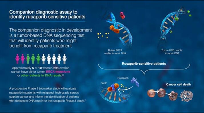 南宫·NG28(China)官方网站-登录入口