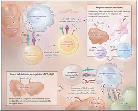 南宫·NG28(China)官方网站-登录入口