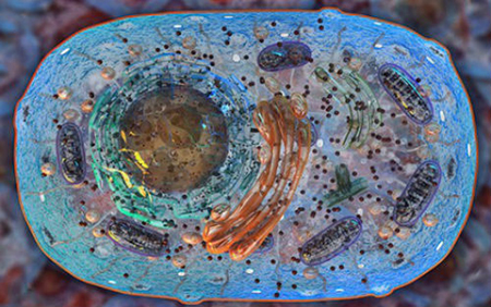 南宫·NG28(China)官方网站-登录入口