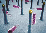 未来的药丸里，可能有一万亿小我私家工刷新的细菌？