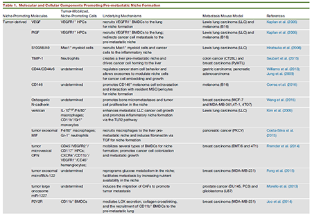 南宫·NG28(China)官方网站-登录入口