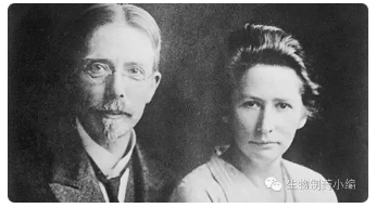 南宫·NG28(China)官方网站-登录入口