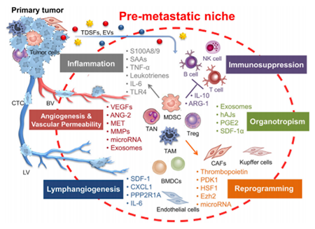 南宫·NG28(China)官方网站-登录入口