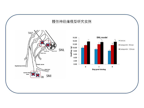 南宫·NG28(China)官方网站-登录入口