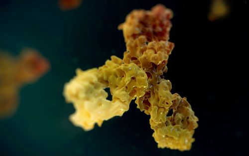 南宫·NG28(China)官方网站-登录入口