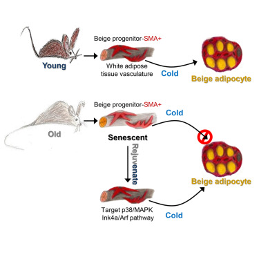 南宫·NG28(China)官方网站-登录入口