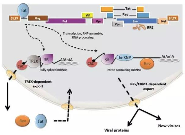 南宫·NG28(China)官方网站-登录入口
