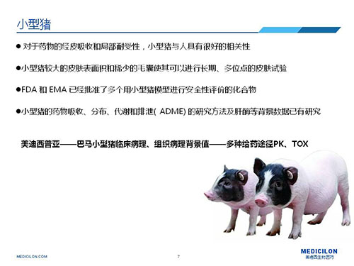 皮肤涂抹试验中，受试动物选择小型猪更好