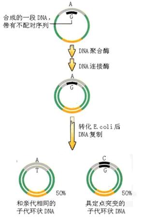 南宫·NG28(China)官方网站-登录入口