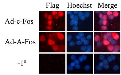 南宫·NG28(China)官方网站-登录入口
