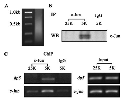 南宫·NG28(China)官方网站-登录入口