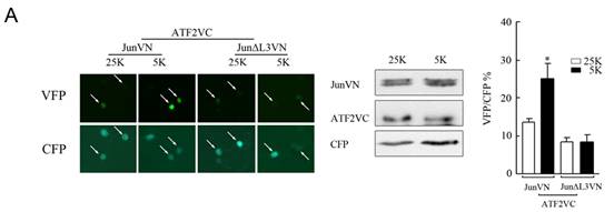 南宫·NG28(China)官方网站-登录入口