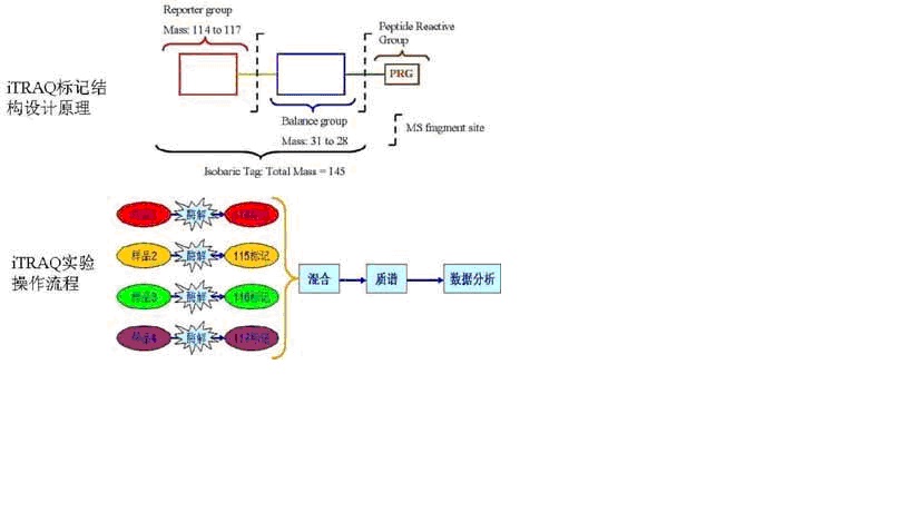 南宫·NG28(China)官方网站-登录入口