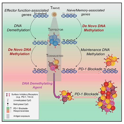 南宫·NG28(China)官方网站-登录入口